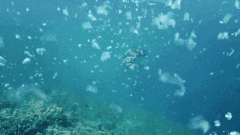 深之蓝冲击“中国水下机械人第一股”雷军系本